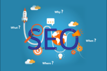 SEO Company in Jaipur